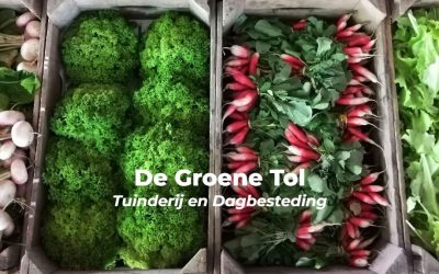 Streekproductenmarkt Absdale